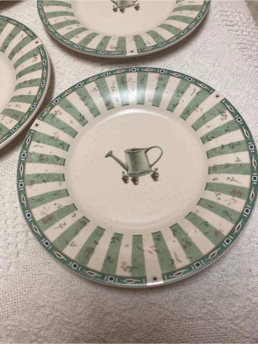Pfaltzgraff Naturewood Watering Can Stripe Salad Plates - Set of 4 Size 8”